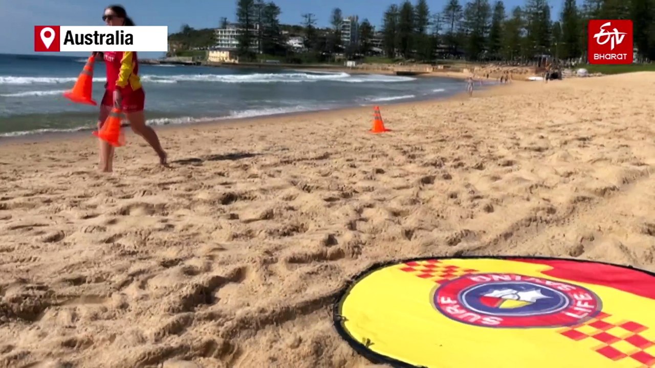 Australia Fends Off Shark Bites With New Tech And Old