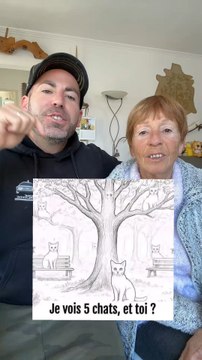 vous avez trouvé combien de chats ?