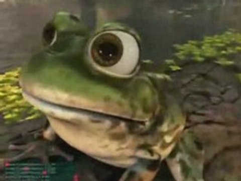 Demo Graphique 8800 GTX