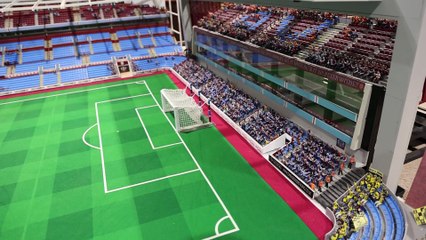 aston-villa-fan-1445594