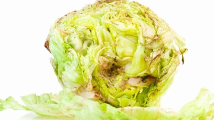 10 Signs That Mean Your Lettuce Has Root Rot