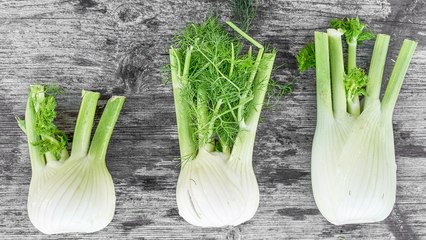 10 Gardening Tips For Growing Your Own Fennel