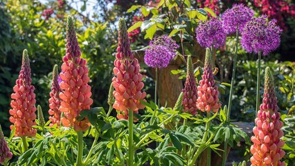 9 Tips On How To Prepare Your Perennials for the End of Summer