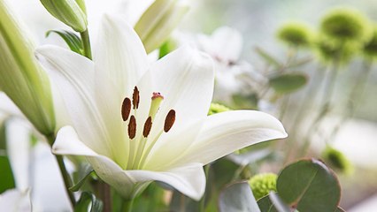Flowers That Are Perfect For Memorials