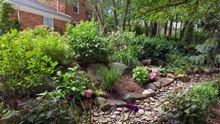 10 Tips On How To Make Your Own Rain Garden