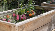 11 Quick And Easy Garden Tips That Will Help Your Raised Beds In The Fall