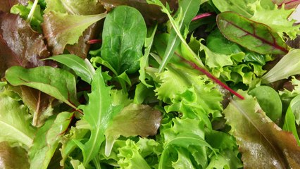 10 Leafy Green Vegetables To Grow For Delicious Salads