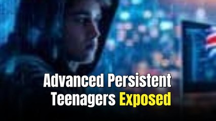 Teen hacker accused of $115M cybercrime spree