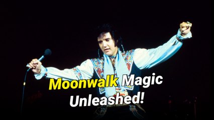 Top 10 Greatest Live Music Performances in History