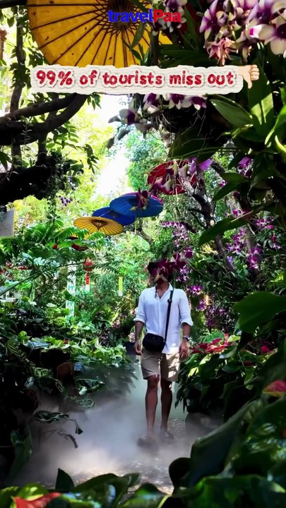 4 Hidden Gems in Thailand You Probably Missed! 🌴✨ | Travel with TravelPaa