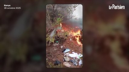 Crash d’un avion au Kenya : 11 morts, dont 8 Hongrois et 2 Allemands, dans l’accident du petit appareil