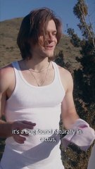 My Secret With Country Boys