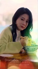 Fragments Of Her Final Goodbye (2025) - FULL HD [Eng Sub]