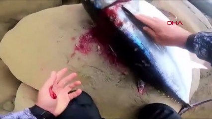 Oltasına takılan dev balıkla 3 saat mücadele etti