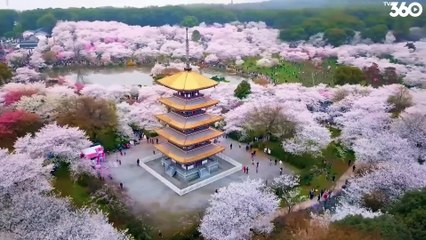 Tập 40 - HẬU LÃNG (Thuyết Minh) | Ngô Cương, Triệu Lộ Tư, La Nhất Châu, Trương Manh, Giang San, Châu Trừng Áo, Chu Tuấn Lân, Lý Bách Huệ...