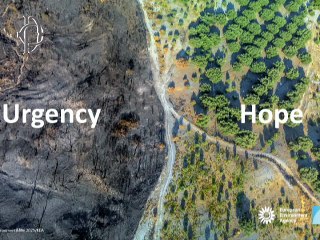 Roma - ​​​Report stato ambiente e Rapporto Ambiente Snpa (28.10.25)