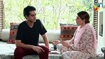 Meri Bahuein Episode 8 - [ Mehrunisa Iqbal, Kanwal Khan & Rahat Ghani ] HUM TV