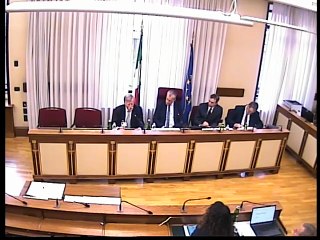 Roma - ​​​Emergenza covid, audizione Andreoni (28.10.25)