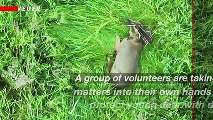 How Drones Are Helping Swiss Farmers Protect Young Deer