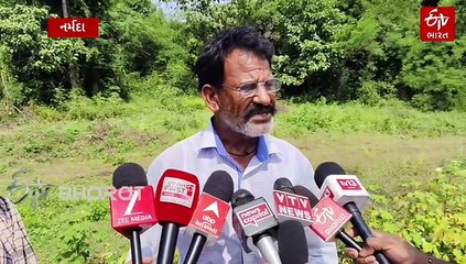 નર્મદા જિલ્લામાં કમોસમી વરસાદથી ઉભા પાકને મોટું નુકસાન: ખેડૂતોએ સરકાર પાસે સહાયની માગણી કરી