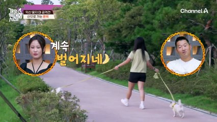 계속해서 짖는 늑대 3호 때문에 단단히 화가 난 보호자! 훈육 대신에 간식 보상을?!