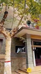 Rising Again The Story Of Us Chinese Drama - ENG SUB