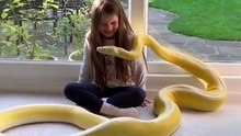 Funny animals 4