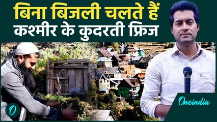 "बिना बिजली, बिना मशीन — कश्मीर के लकड़ी के फ्रिज़ की कहानी"