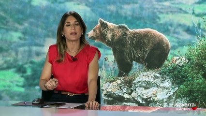 Noticias de Navarra 14:30h 28/10/2025