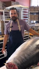 Chef Jordan Rubin Breaks Down a 375-Pound Bluefin Tuna