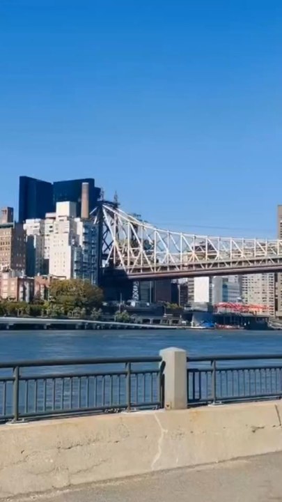 From the scenic Roosevelt Island, you can have a close-up view of the Manhattan skyline. Resident Nelson Wang often relaxes and entertains himself on the Cornell Tech Campus Lawn and Riverside Garden. This video was shot on October 21, 2025.