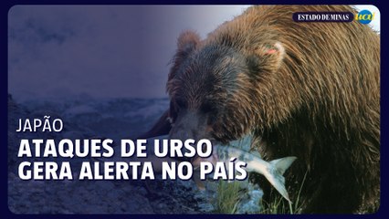 Governador Japonês pede ajuda militar após onda "terrível" de ataques de Ursos