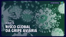 Como a Gripe Aviária pode afetar você e sua família