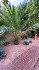 DECOUVERTE du Jardin Majorelle à Marrakech