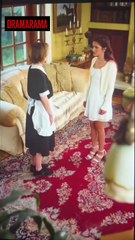 who is the real ceo's wife 💖(telegram@linkeex)