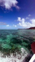 LA LIBERTE en quelques secondes