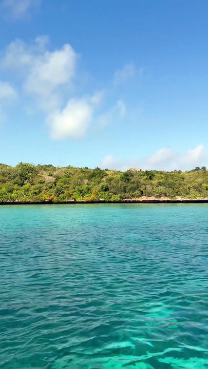 SUPERBE ILE ENDEMIQUE de Maurice