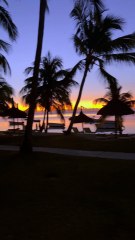 UN REVE EVEILLE ces paysages