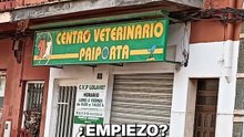 Así quedó la primera veterinaria de Paiporta por la dana.