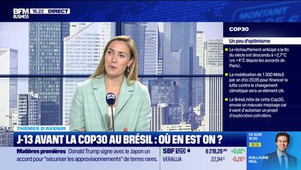 La Cop 30 approche, le parcours boursier des valeurs environnementales reste chaotique - 28/10