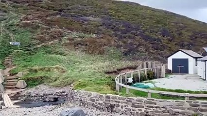 A dead calf has been spotted on a North Cornwall beach