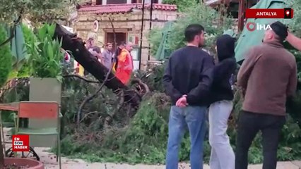 Antalya'da 3 kişi fırtınanın etkisiyle devrilen ağacın altında kaldı