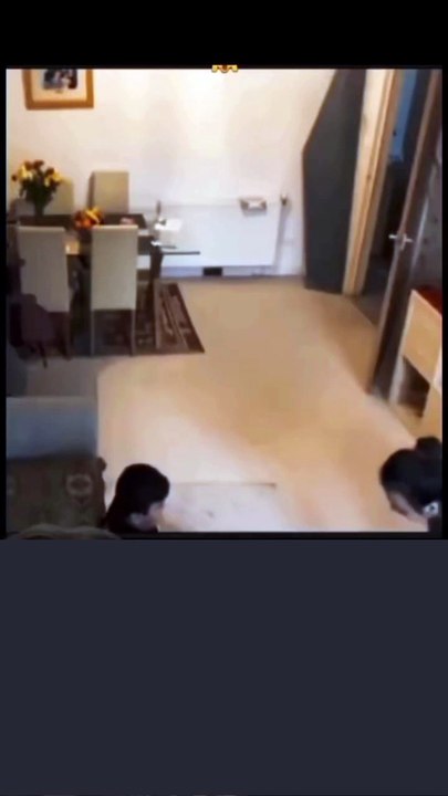 Paranormal Videos