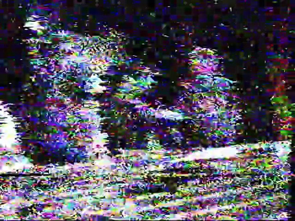 TV4 1999 polonia