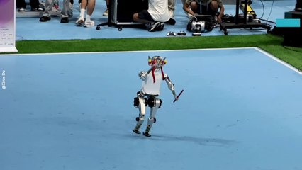 Humanoid Robot Stuns Crowd With Front Flip