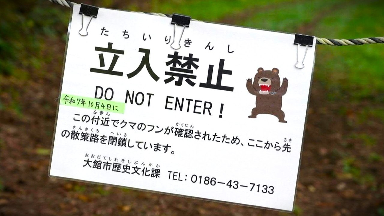 Immer mehr tödliche Bärenangriffe in Japan