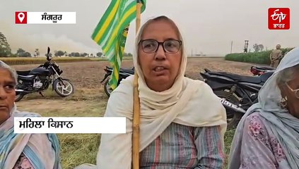 ਕਿਸਾਨ ਨੇ ਪਰਾਲੀ ਨੂੰ ਅੱਗ ਲਗਾਈ, ਕਾਰਵਾਈ ਕਰਨ ਪਹੁੰਚੇ ਅਧਿਕਾਰੀਆਂ ਨੂੰ ਪਾਇਆ ਘੇਰਾ