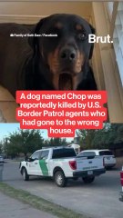 A dog named Chop was shot and killed by ICE agents.