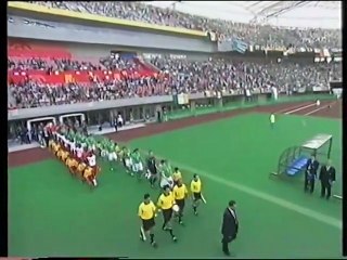 2002 FIFA World Cup - Ireland v. Cameroon