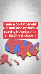 Federal SNAP benefit distribution by state starting November 1st amidst the shutdown.